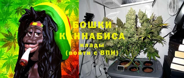 сатива Гусиноозёрск