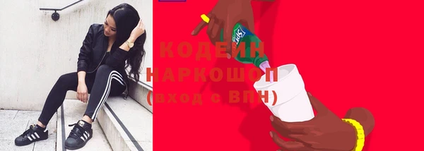 эйфоретик Гусь-Хрустальный