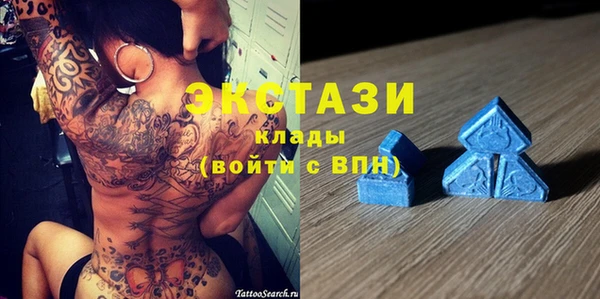 эйфоретик Гусь-Хрустальный