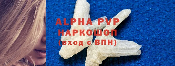 эйфоретик Гусь-Хрустальный