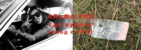 эйфоретик Гусь-Хрустальный