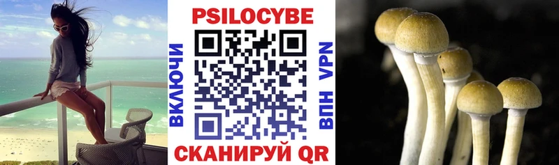 ссылка на мегу вход  Енисейск  Галлюциногенные грибы ЛСД 