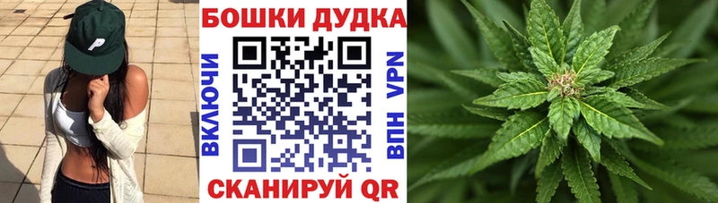 mega зеркало Енисейск Конопля Bruce Banner
